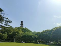 -江心屿景区