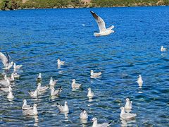 -丽江泸沽湖景区