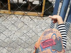 -长白岛森林公园