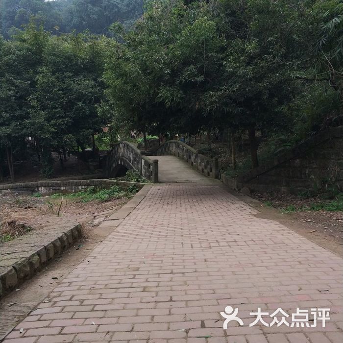 歌樂山國家森林公園