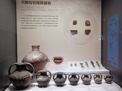 -四川大学博物馆