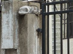 -猫岛主趣味餐厅(鼓浪屿店)