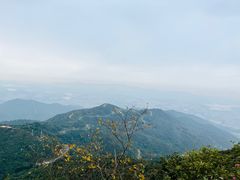-阳台山森林公园