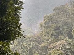 -青城山