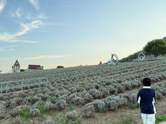 -无锡苏宁银河国际酒店-悦府65中餐厅