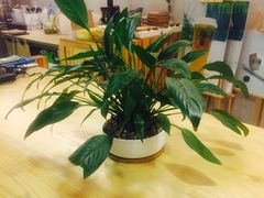 -禾康家蛋糕店