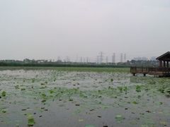 -天津东丽湖风景区