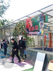 -萌宠亲子动物乐园(槐房万达店)