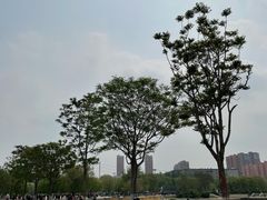-仙女湖公园