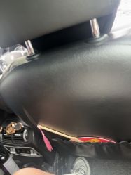 点击看大图 -神奇动物撸宠馆·羊驼·小浣熊·异宠(豫园店)