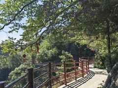 -老君山风景名胜区