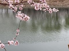-桃花堤公园
