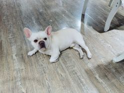 -IDEA·艾蒂尔科技美肤·日式美甲美睫集合店