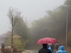 -栾川竹海野生动物园