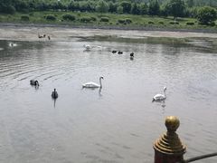 -哈尔滨北方森林动物园