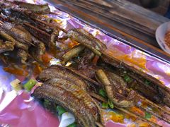 -晓靖轩烧烤(沙河风情店)