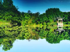 -青龙山国家森林公园