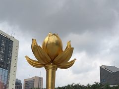 -金莲花广场
