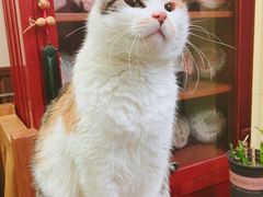 -天一朴素(武汉大学店)