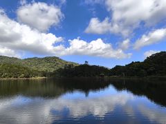 -海南热带雨林国家公园吊罗山景区