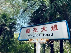 -武汉大学-樱园