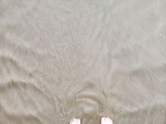 -日照海滨国家森林公园