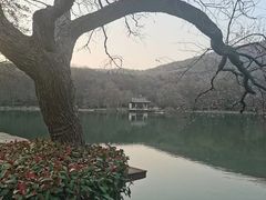 -紫霞湖公园