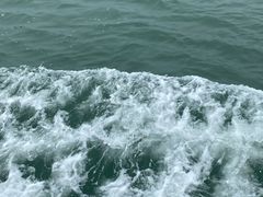 -湄洲岛