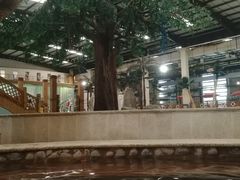 -南宫温泉水世界