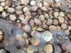 -盒马鲜生(莱蒙都会店)