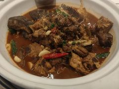 -甲鱼张甲鱼铺子(观沙岭店)