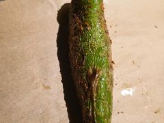 -新沙烧烤·炭烤鲜牛肉(新沙路店)