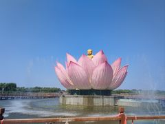-白洋淀景区