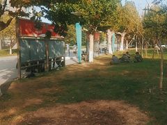 -日照职业技术学院