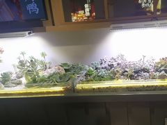 -街角等你.大连海鲜烧烤(西安路店)