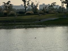 -上海中国航海博物馆