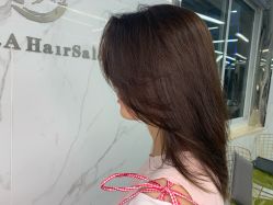 -潘多拉Hairsalon