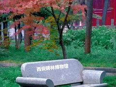 -西安碑林博物馆