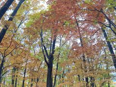 -五女峰国家森林公园