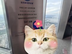 -平安金融中心云际观光层