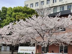 -永乐路-路侧停车场