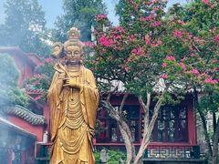 -黔灵山公园
