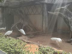 -南昌动物园