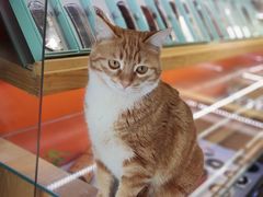 -老半斋(福州路店)
