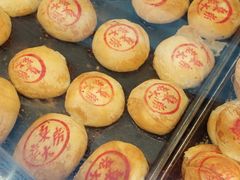 -真老大房鲜肉月饼(南京路步行街店)
