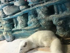 -华夏文旅海洋公园