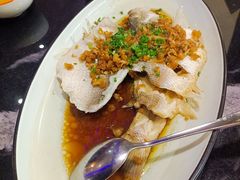 -新白鹿餐厅(百联中环店)