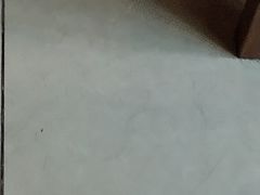 -金家老三饭庄(常营店)