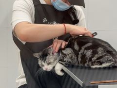 -comecome来吧宠物(奥克斯中心店)