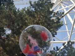 -哈尔滨文化公园